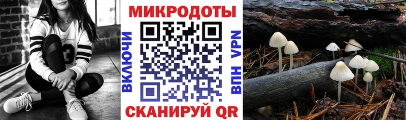 Галлюциногенные грибы Psilocybe  сайты даркнета клад  Шахунья 